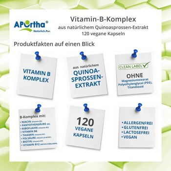 Complexe de vitamine B à partir d'extrait naturel de germes de quinoa - 120 Capsules végétaliennes 2