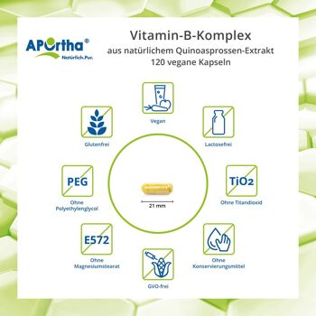 Complexe de vitamine B à partir d'extrait naturel de germes de quinoa - 120 Capsules végétaliennes 3