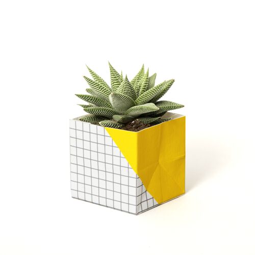Geometric Plant Pot Cover – Small - Yellow / Grid