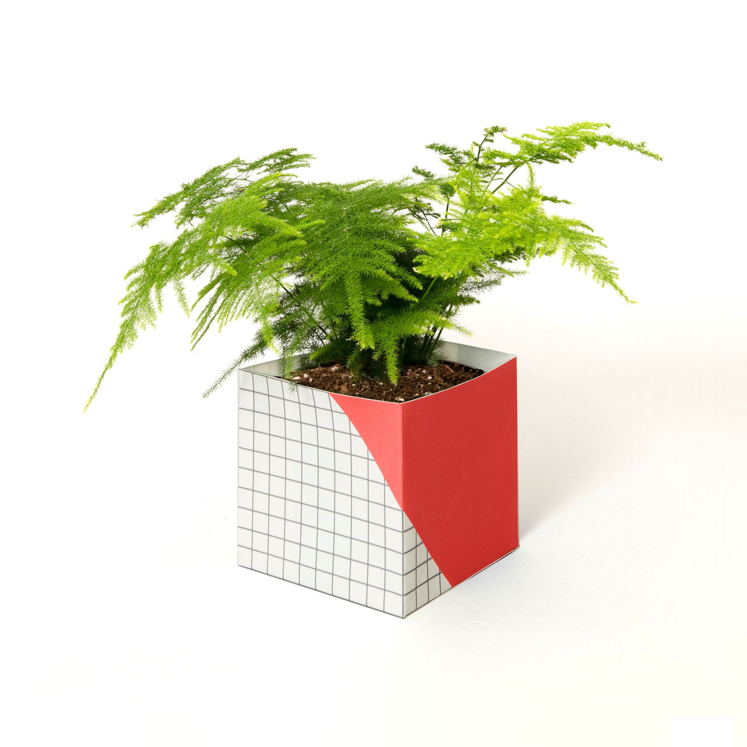 Cache-Pot Géométrique - Grand - Rouge / Grille