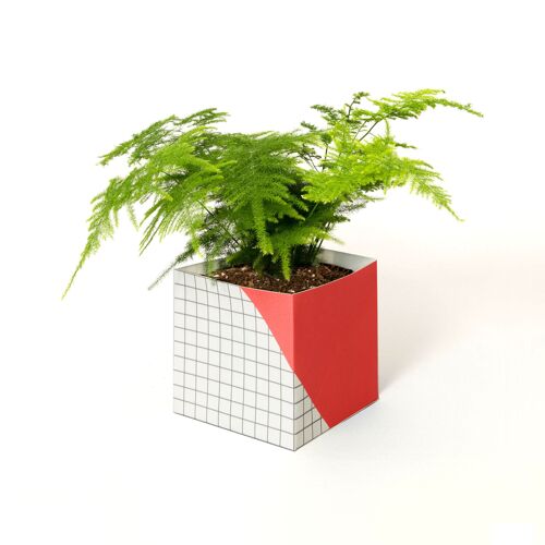 Geometric Plant Pot Cover – Large - Red / Grid