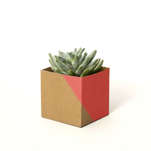 Geometric Plant Pot Cover – Small - Red / Brown