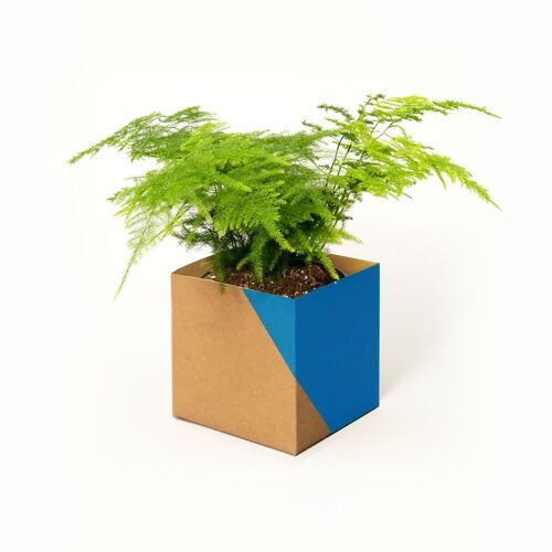 Geometric Plant Pot Cover – Large - Blue / Brown