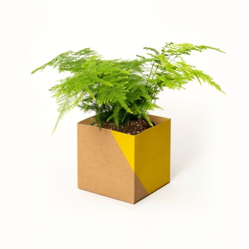 Geometric Plant Pot Cover – Large - Yellow / Brown