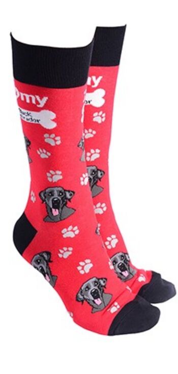 Chaussettes design Labrador noir avec texte « I love my Black Labrador », remplisseur de bas de qualité unisexe taille unique – Rouge 1