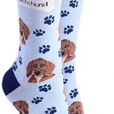Dachshund design socks with 'I love my Dachshund' text, quality Unisex One Size stocking filler - Blue