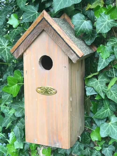 Chunky wood Bitumen Roof Bird house nest box designed for the Great Tit