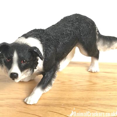 Leonardo Border Collie 'Sheepdog' in klassischer Posenverzierung, in hochwertiger Geschenkbox