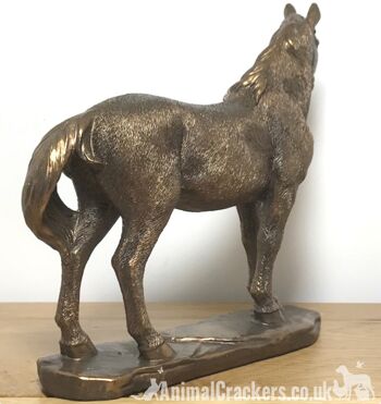 Figurine sculpture cheval poney ornement, qualité Leonardo reflets bronzés, coffret cadeau 4