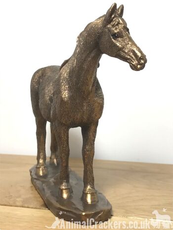 Figurine sculpture cheval poney ornement, qualité Leonardo reflets bronzés, coffret cadeau 5