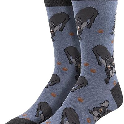 Calcetines de calidad para hombre Socksmith 'Frenchie Fellowship' con diseño de Bulldog francés, azul oscuro, talla única, regalo para amantes de los perros/relleno de calcetines