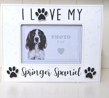 Springer Spaniel cadre photo style boîte en bois porte-photo, 6" x 4"