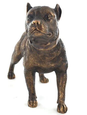 Ornement Pit Bull Terrier effet bronze 18 cm 3