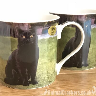 Leonardo quality Black Cat fine china mug with all round print, in coloured gift box, great Jack Russell lover gift
