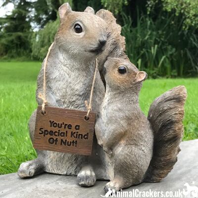 Niedliche Mutter- und Baby-Eichhörnchen mit abnehmbarem "You're a Special Kind of Nut"-Schild, Dekoration für drinnen oder draußen, schönes Geschenk für Eichhörnchen-Liebhaber