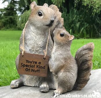 Écureuils mignons de mère et de bébé avec signe amovible « Vous êtes un type spécial de noix », ornement intérieur ou extérieur, joli cadeau d'amant d'écureuil 1