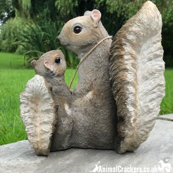 Écureuils mignons de mère et de bébé avec signe amovible « Vous êtes un type spécial de noix », ornement intérieur ou extérieur, joli cadeau d'amant d'écureuil 4