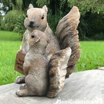 Écureuils mignons de mère et de bébé avec signe amovible « Vous êtes un type spécial de noix », ornement intérieur ou extérieur, joli cadeau d'amant d'écureuil 5