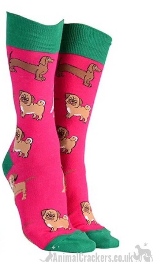 Mens or Ladies Mixed Dog Breeds design (Pug, Dachshund, Jack Russell Terrier) socks, great novelty DOG lover gift stocking filler - Pink