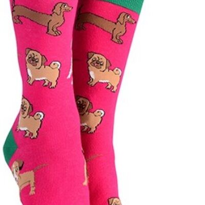 Mens or Ladies Mixed Dog Breeds design (Pug, Dachshund, Jack Russell Terrier) socks, great novelty DOG lover gift stocking filler - Pink