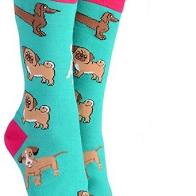 Mens or Ladies Mixed Dog Breeds design (Pug, Dachshund, Jack Russell Terrier) socks, great novelty DOG lover gift stocking filler - Green