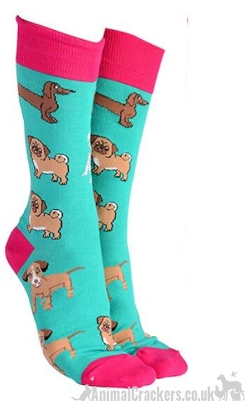 Chaussettes de conception de races de chiens mixtes pour hommes ou femmes (carlin, teckel, Jack Russell Terrier), grande nouveauté remplisseur de bas de cadeau d'amant de chien - vert 1