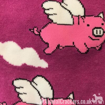 Calzini con design a forma di maiale 'Flying Pig' dai colori vivaci formano la Sock Society, unisex e taglia unica, regalo per amante dei maiali/riempimento per calze di qualità - Rosa