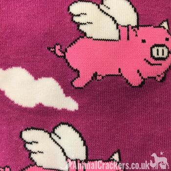 Chaussettes fantaisie aux couleurs vives "Flying Pig" Pig de la Sock Society, unisexe et taille unique, cadeau/remplissage de bas de qualité pour les amoureux des cochons - Rose 1