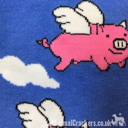 Novelty bright colour 'Flying Pig' Pig design socks form the Sock Society, Unisex & One Size fits all, quality Pig lover gift/stocking filler - Blue