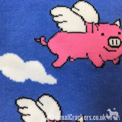 Neuartige, leuchtende Socken mit Schweinedesign von der Sock Society, Unisex und Einheitsgröße, hochwertiges Geschenk für Schweineliebhaber/Strumpffüller – Blau
