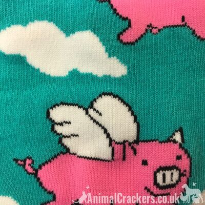 Novelty bright colour 'Flying Pig' Pig design socks form the Sock Society, Unisex & One Size fits all, quality Pig lover gift/stocking filler - Turquoise