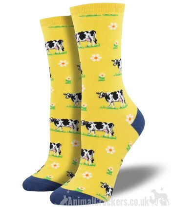 Chaussettes pour femmes Socksmith 'Legendairy' Friesian Cow design, taille unique, cadeau d'amant de bétail ou de vache laitière de qualité - Jaune 1