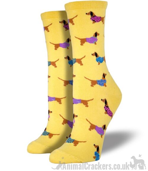 Women Socksmith 'Haute Dog' Dachshund socks, one size, Sausage Dog lover gift or stocking filler - Yellow