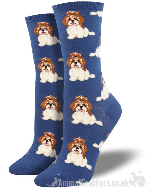 Womens Socksmith 'Shih Tzu Not' design socks, One Size, quality Shih Tzu Dog lover gift - Blue