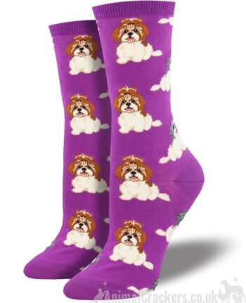 Chaussettes design Socksmith 'Shih Tzu Not' pour femmes, taille unique, cadeau d'amant de chien Shih Tzu de qualité - Rose 1