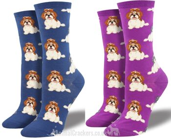 Chaussettes design Socksmith 'Shih Tzu Not' pour femmes, taille unique, cadeau d'amant de chien Shih Tzu de qualité - Rose 2