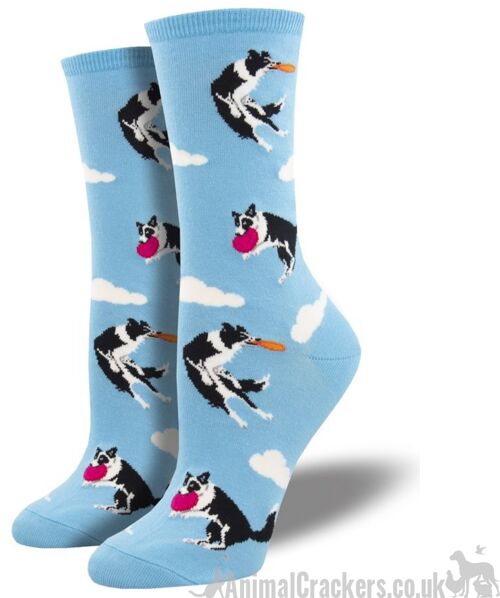 Womens Socksmith 'Catch Your Drift' socks Border Collie catching frisbee design, quality Dog lover gift - Sky Blue
