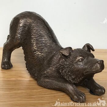 Ornement de sculpture Border Collie en bronze lourd de 22 cm, grand cadeau d'amant de chien de mouton 1