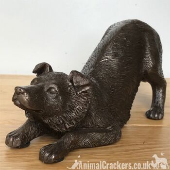 Ornement de sculpture Border Collie en bronze lourd de 22 cm, grand cadeau d'amant de chien de mouton 2