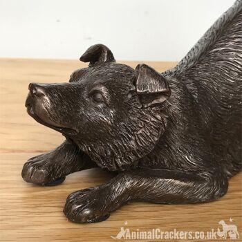 Ornement de sculpture Border Collie en bronze lourd de 22 cm, grand cadeau d'amant de chien de mouton 3
