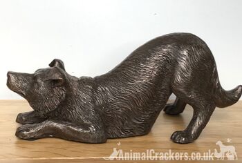 Ornement de sculpture Border Collie en bronze lourd de 22 cm, grand cadeau d'amant de chien de mouton 4
