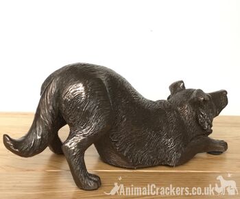 Ornement de sculpture Border Collie en bronze lourd de 22 cm, grand cadeau d'amant de chien de mouton 5