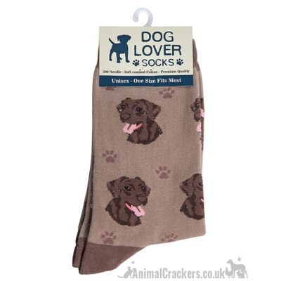 Calcetines para mujer Chocolate Labrador Mezcla de algodón de calidad OneSize ideal Regalo para amantes de los perros