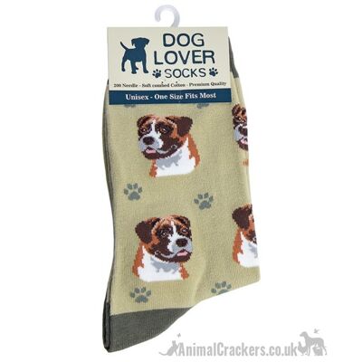 Damen Boxer Socken Einheitsgröße hochwertiger Baumwollmix Hundeliebhaber Geschenk Strumpffüller