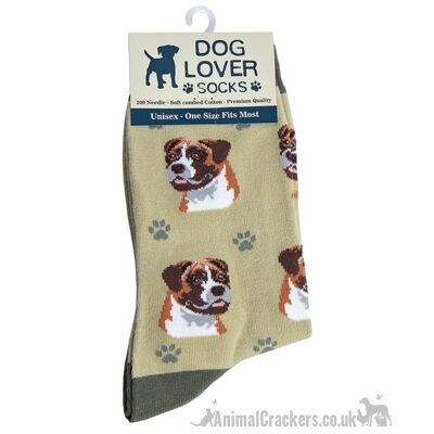 Chaussettes Boxer pour femmes Taille unique mélange de coton de qualité Chien amoureux cadeau bas de remplissage