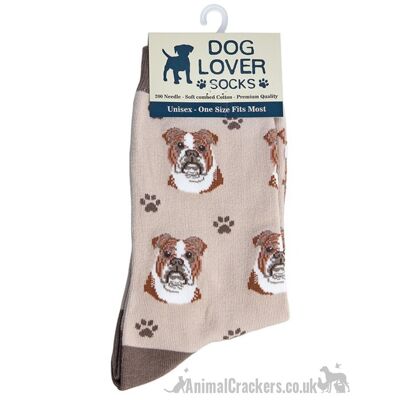 Chaussettes bouledogue anglais femme taille unique mélange de coton de qualité nouveauté cadeau amoureux des chiens