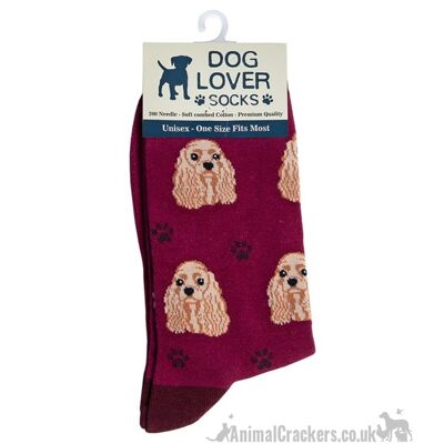 Damen Cocker Spaniel Socken Einheitsgröße Qualität Baumwollmischung Neuheit Hundeliebhaber Geschenk