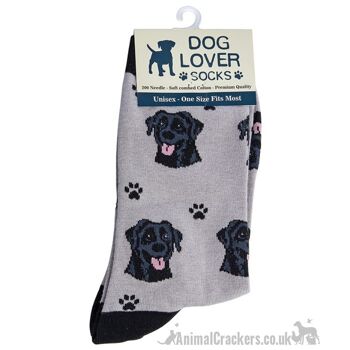 Chaussettes pour femmes Black Labrador One Size mélange de coton de qualité nouveauté cadeau d'amant de chien