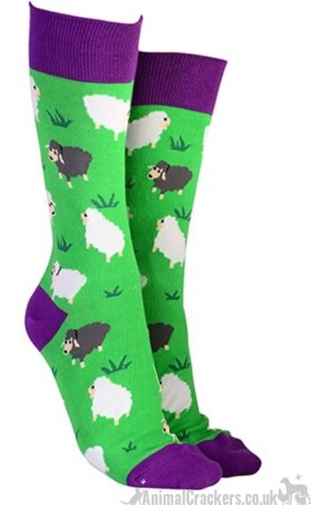 Chaussettes de conception de moutons fantaisie de 'Sock Society' hommes ou femmes, taille unique, excellent remplisseur de bas de cadeau pour les amoureux des moutons - vert 1