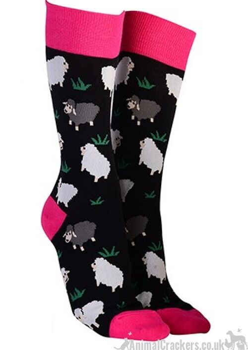 Novelty Sheep design socks from 'Sock Society' Men or Women, One Size, great Sheep lover gift stocking filler - Black